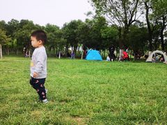 -洨河生态公园