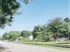 -永定河休闲森林公园