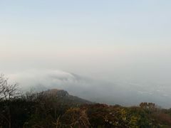 -紫金山山顶公园