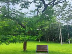 -莲花山公园