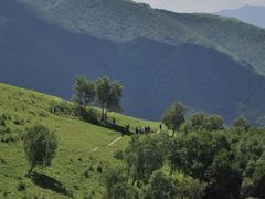 -灵山