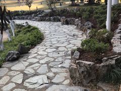 -东莞植物园