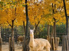 -济南野生动物世界