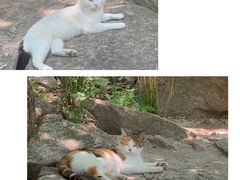 -崂山九水游览区