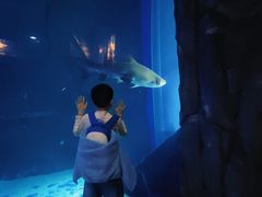 -成都浩海立方海洋公园