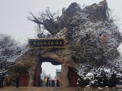 -大槐树寻根祭祖园