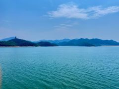 -望湖烤鱼
