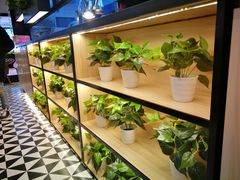 -摩欧客意式餐厅(高新活力汇店)