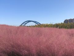 -阳澄湖半岛旅游度假区
