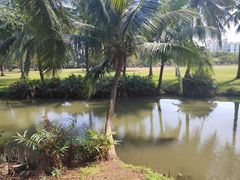 -白沙门生态公园