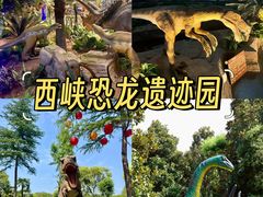 -中国西峡恐龙遗迹园