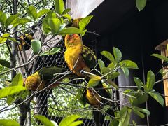-合肥野生动物园