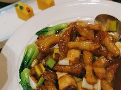 -中苑海韵