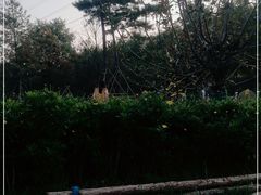 -汉长安城未央宫国家考古遗址公园