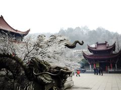 -九华山风景区