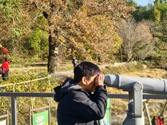 -塔川景区