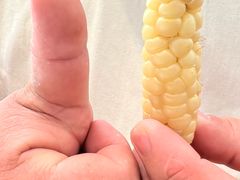 -菌公主·野生菌蒸汽火锅(告庄店)