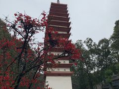 -宝光寺