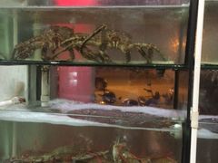 -阿庆嫂饭店(坂美路店)