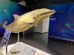-生命奥秘博物馆