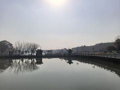 -八大山人梅湖景区