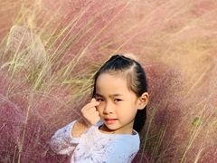 -艾溪湖湿地公园