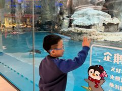 -帝企鹅自助餐厅•儿童岛•真企鹅(长隆企鹅酒店)