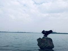 -张公山寨景区