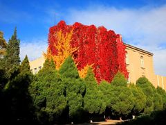 -辽宁大学(崇山校区)