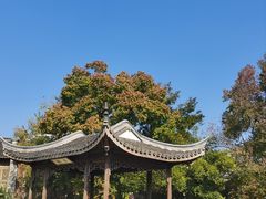 -芥子园
