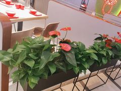 -渝蛙馆(新百店)