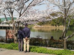 -新江湾城公园