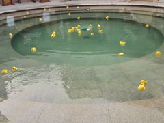 -苏州湾王焰温泉度假酒店