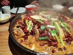 -老板恋上鱼(印象城店)