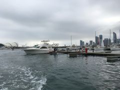 -重庆海昌加勒比海水世界