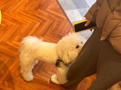 -克比叔叔印度餐厅Kebabs on the Grille(永康路分店)