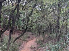 -灵岩山风景区