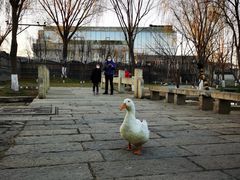 -天兴居(鲜鱼口街店)