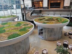 -上海外滩茂悦大酒店