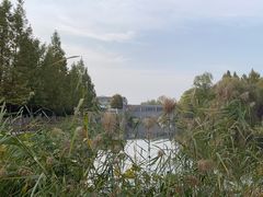 -稻香湖景欢乐岛温泉城堡