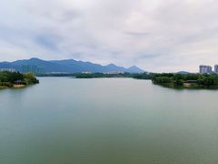 -飞来湖湿地公园