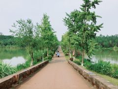 -白鹭湾湿地公园