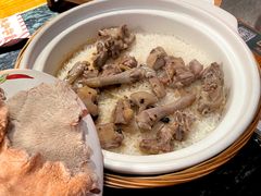 大鸽饭（大）-大鸽饭(北京路店)