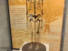 -天津自然博物馆