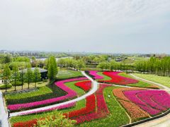 -杭州湾海上花田景区