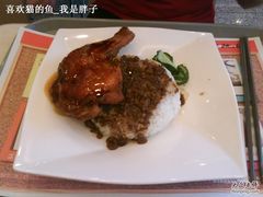 鸡腿饭-东方既白(上海浦东国际机场)