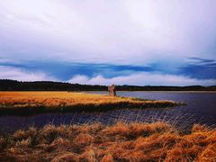 -塞罕坝国家级自然保护区