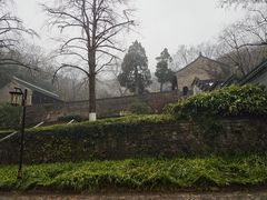 -镇江市南山风景名胜区竹林景区