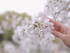 -苏州上方山国家森林公园