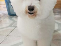 -惠康宠物医院(华能路店)